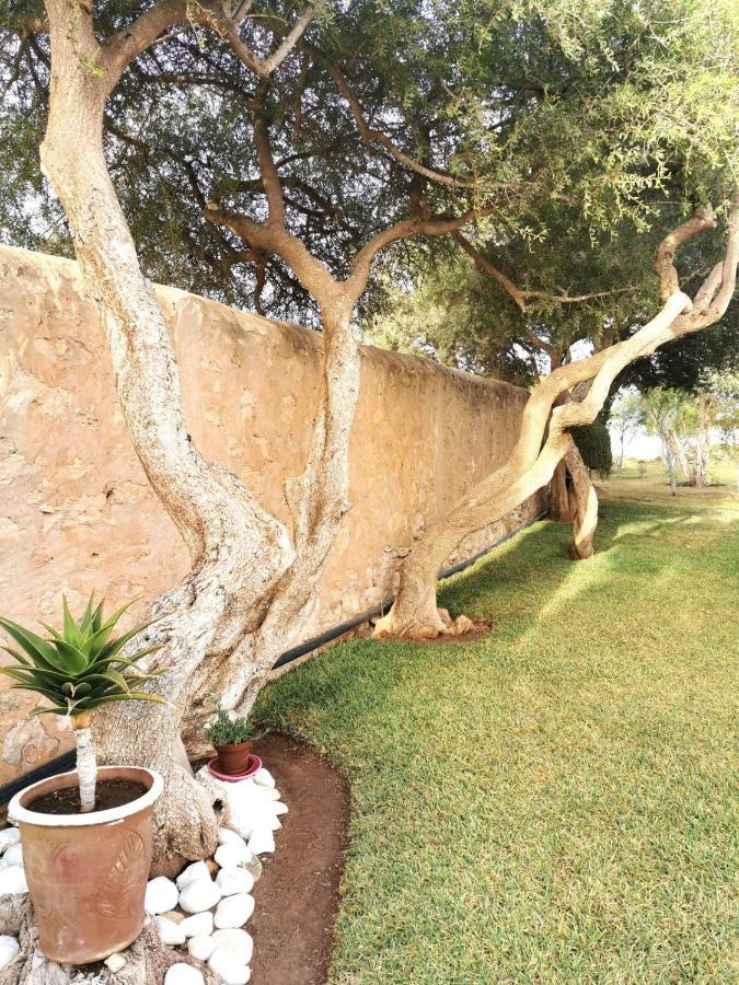 Maison Mimosa, Lovely 3 Bedroom Villa With A Large Pool Essaouira Esterno foto