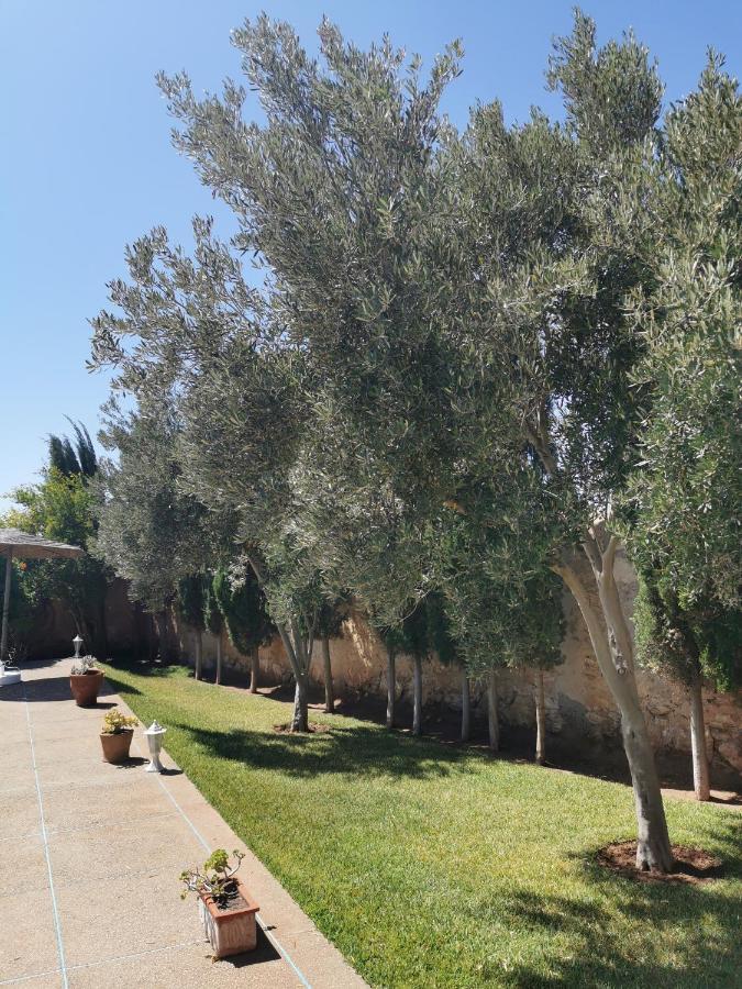 Maison Mimosa, Lovely 3 Bedroom Villa With A Large Pool Essaouira Esterno foto