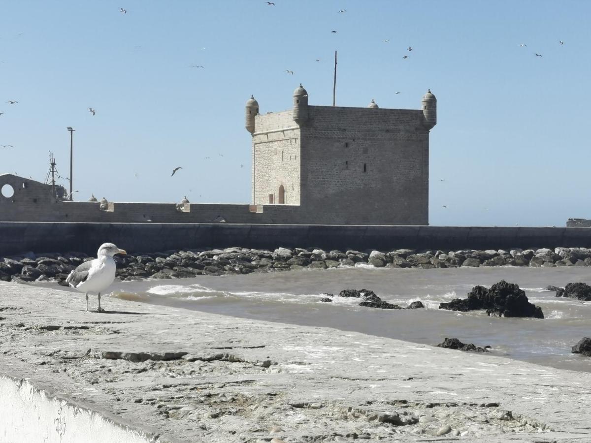 Maison Mimosa, Lovely 3 Bedroom Villa With A Large Pool Essaouira Esterno foto