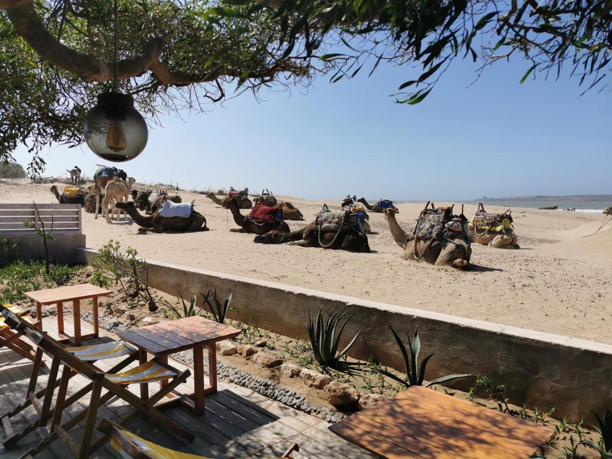 Maison Mimosa, Lovely 3 Bedroom Villa With A Large Pool Essaouira Esterno foto